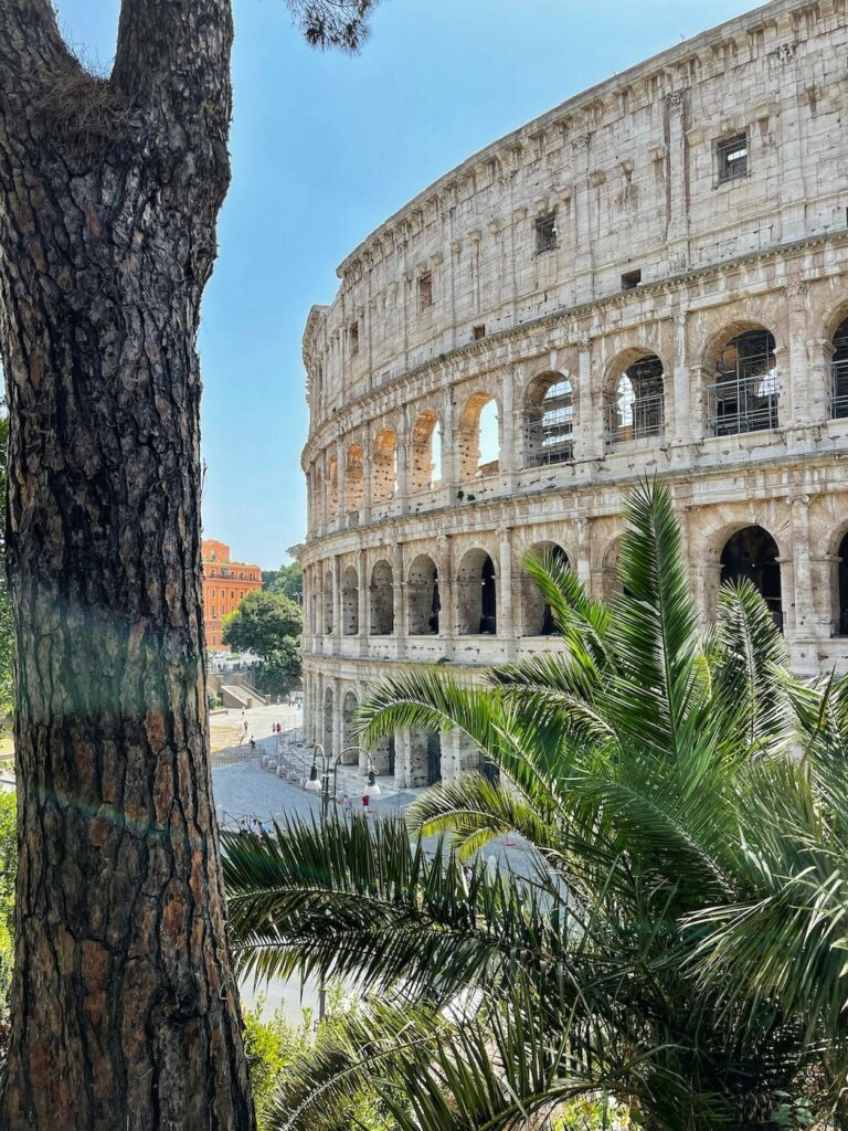 Herbstferien Urlaub mit Kindern wohin?Kolosseum in Rom mit Palme und klarem Himmel