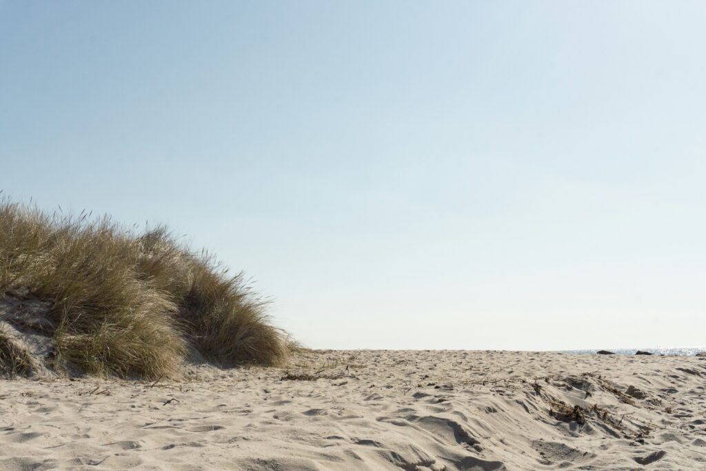 Naturstrand auf Rügen mit Blick auf die Dünen. eine Insel voller Geheimtipps für Familienurlaub in Deutschland.