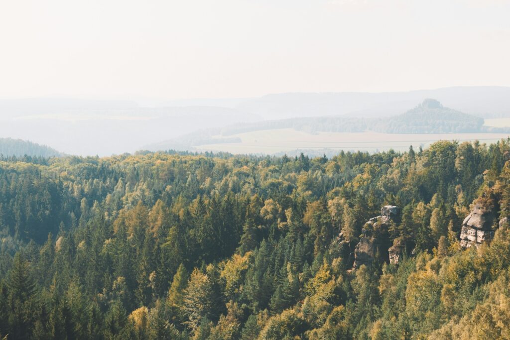 Ausblick auf die Wälder der Sächsischen Schweiz, man kann die Bastei erahnen.