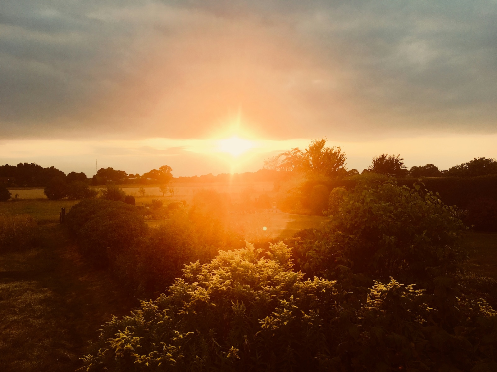 Sonnenaufgang in Deutschland. Lerne in diesem Artikel mehr über 10 Geheimtipps Familienurlaub Deutschland kennen