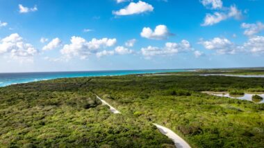 Wohin in den Urlaub mit Kindern? Ausblick auf eine grüne Landschaften mit türkisfarbenen Meer im Hintergrund. Der Himmel ist blau und leicht bewölkt.