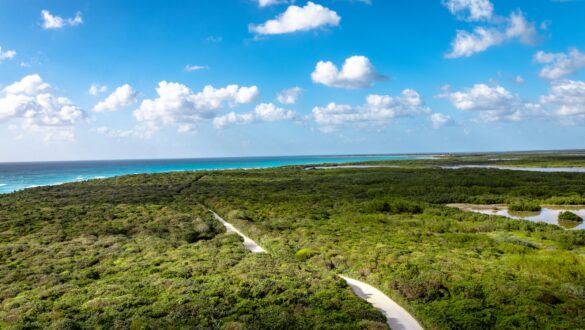 Wohin in den Urlaub mit Kindern? Ausblick auf eine grüne Landschaften mit türkisfarbenen Meer im Hintergrund. Der Himmel ist blau und leicht bewölkt.