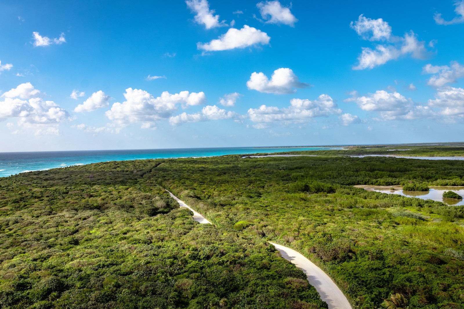 Wohin in den Urlaub mit Kindern? Ausblick auf eine grüne Landschaften mit türkisfarbenen Meer im Hintergrund. Der Himmel ist blau und leicht bewölkt.