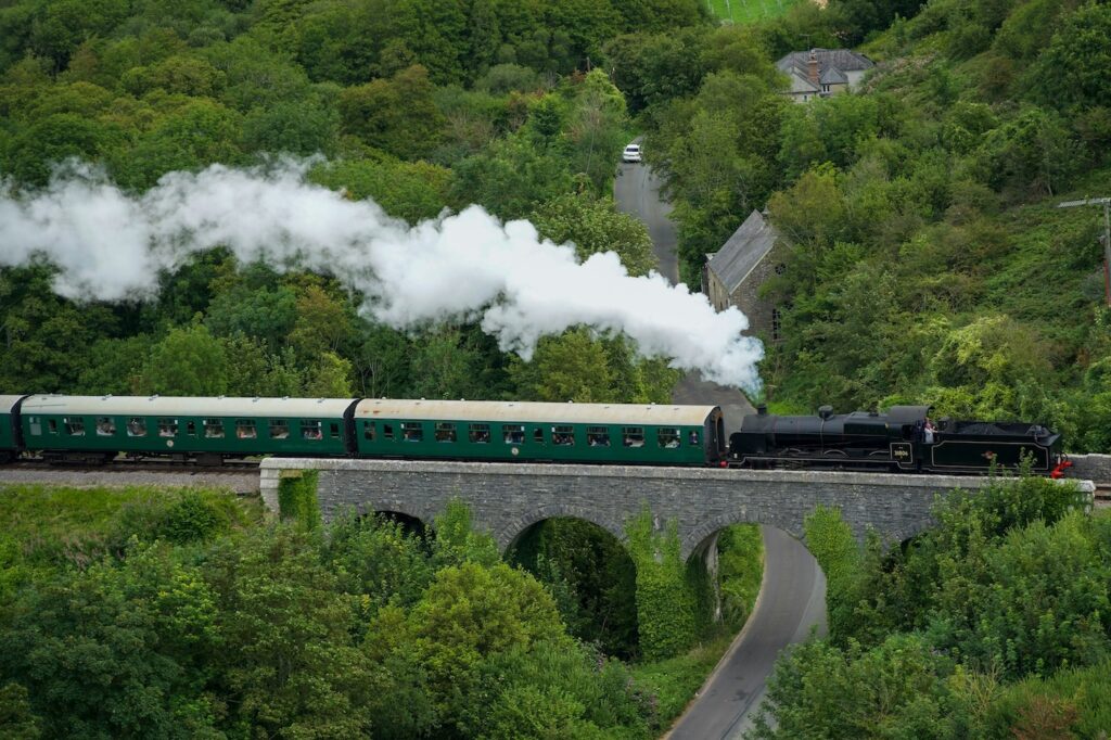 Tipps Familienurlaub: Zug fahren im Urlaub mit Kindern. Ein Zug der in einem Wald auf einer Brücke fährt.